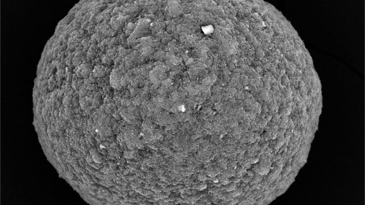 Scientists connect 16 mini human brains to create a 'living computer'
