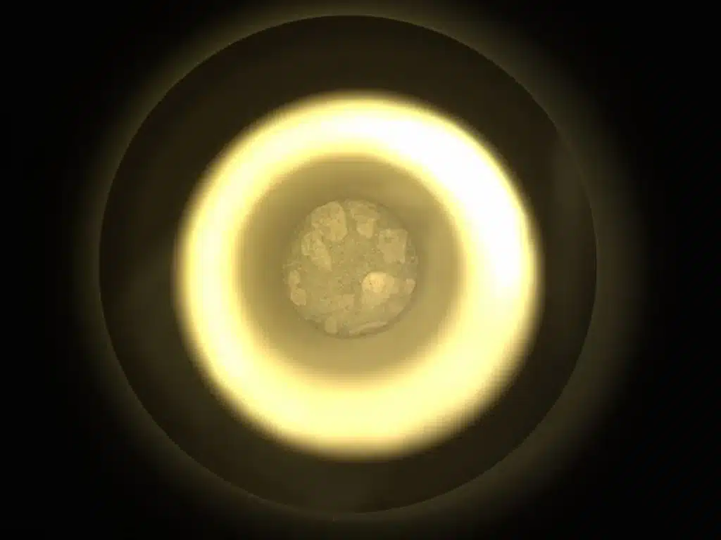 NASA could have just found signs of life on Mars