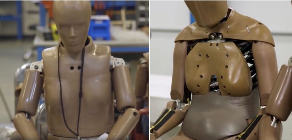 Crash test dummies, female dummies