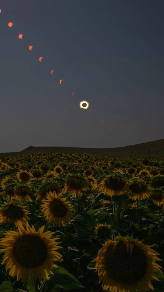 NASA shares incredible pictures of what the total solar eclipse looked like from space