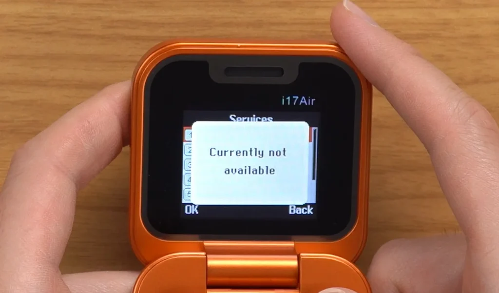 Man buys a $32 'iPhone Duo' and it goes about as well as you'd expect