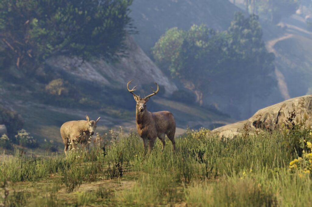 GTA 6 animals