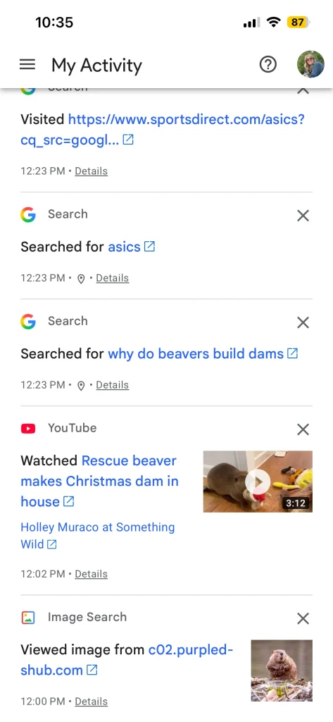 Google holds a massive archive of everything you've ever looked at and this is how to view it