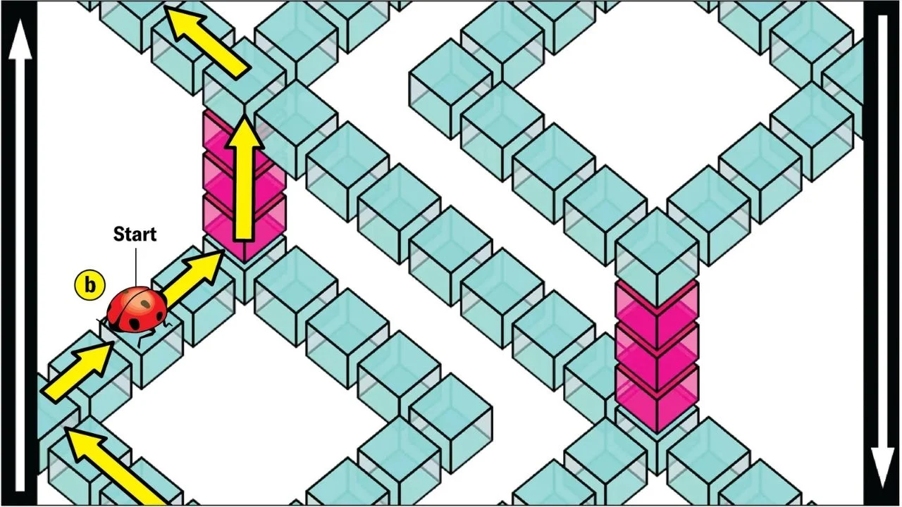 impossible-shape-that-shouldnt-exist-has-been-created