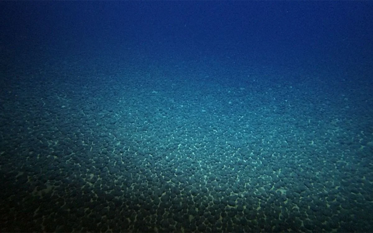 japan-discovers-new-metal-under-the-sea