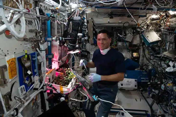 Astronauts finally find missing tomato that was lost for 8 months in the ISS