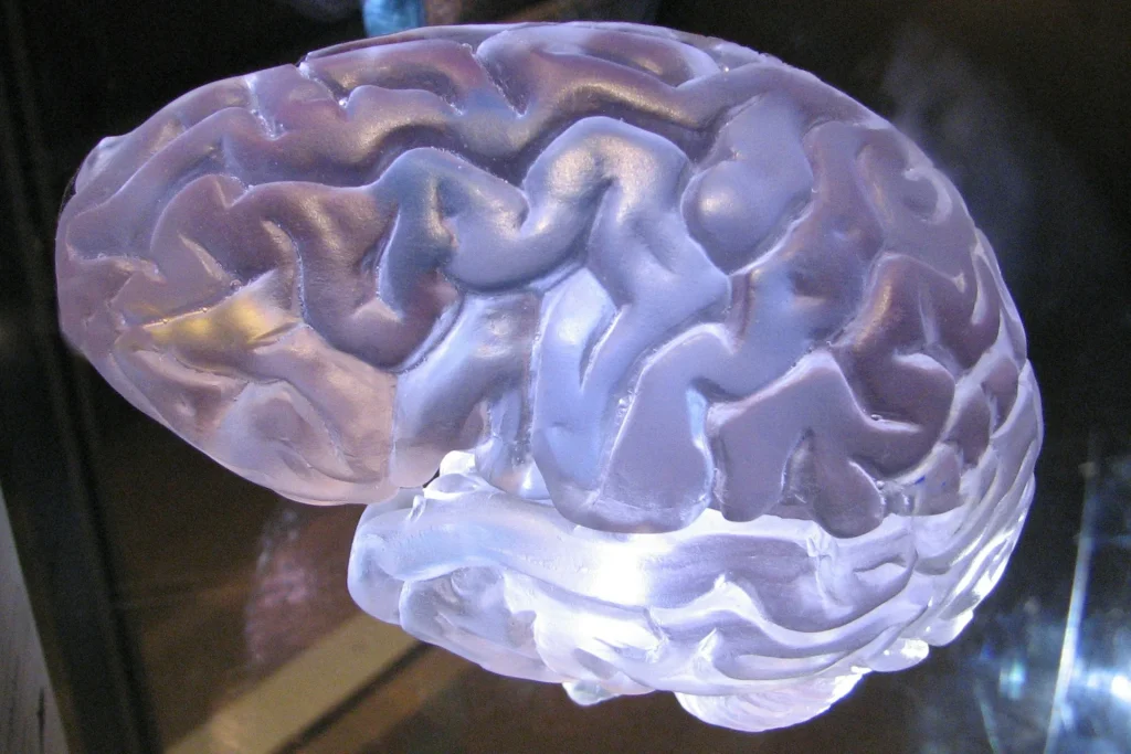 China approves the world's first brain implant for medical patients for commercial use