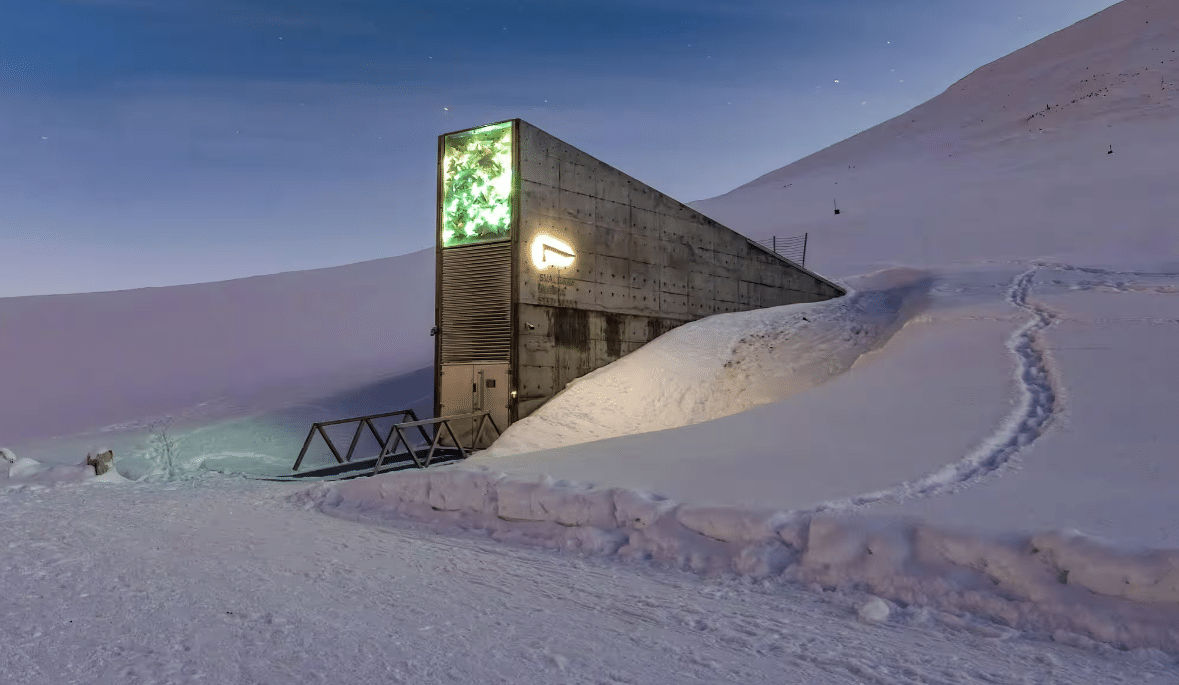 There is a vault in a distant town which is prepped to one day save humanity
