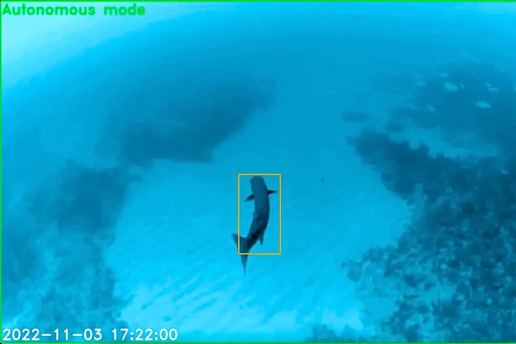 Underwater robot makes important discovery after stalking a barracuda for just 10 minutes