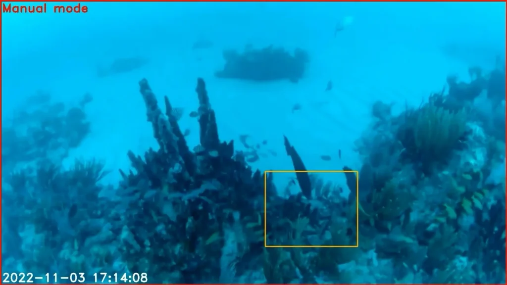 Underwater robot makes important discovery after stalking a barracuda for just 10 minutes
