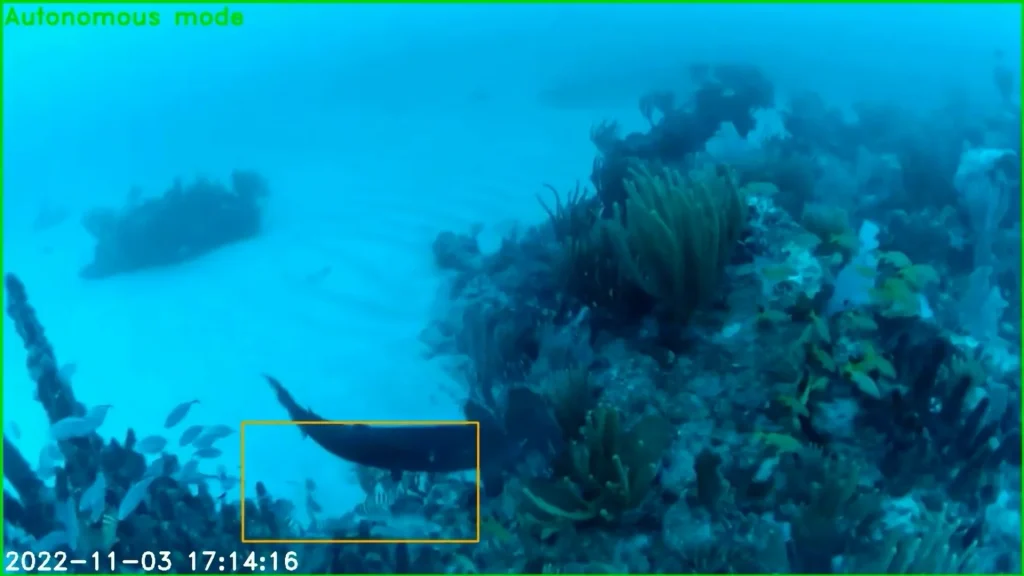 Underwater robot makes important discovery after stalking a barracuda for just 10 minutes