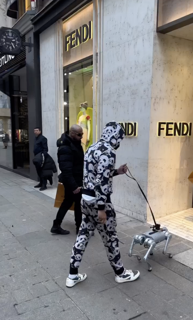 Robot dog