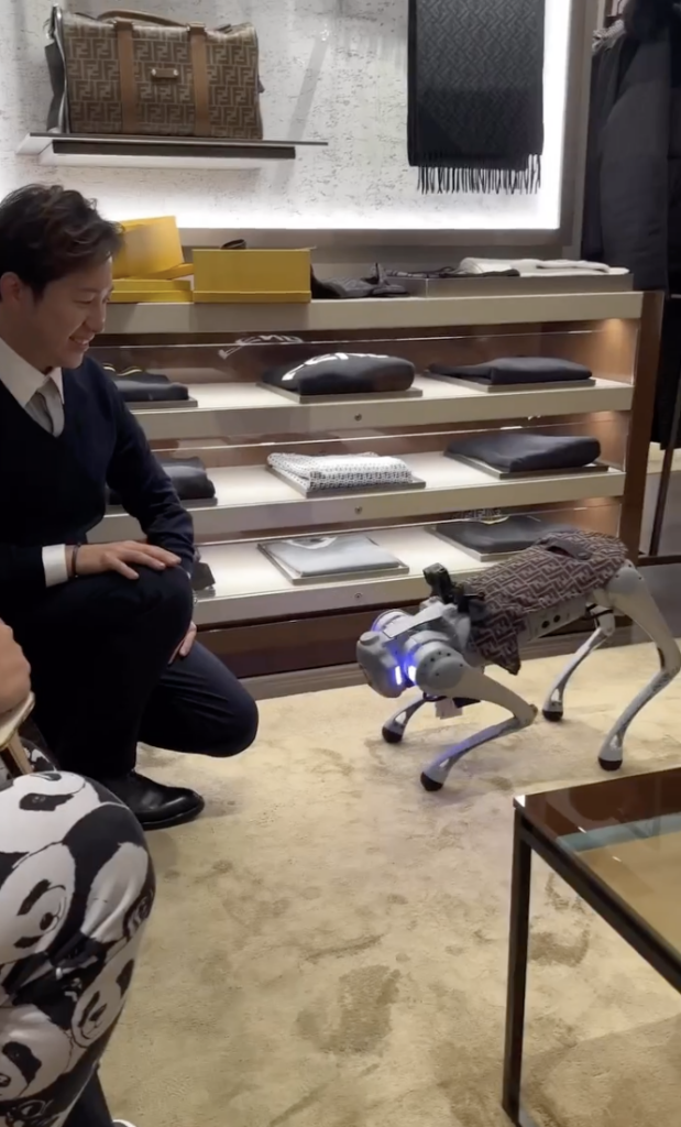 Robot dog