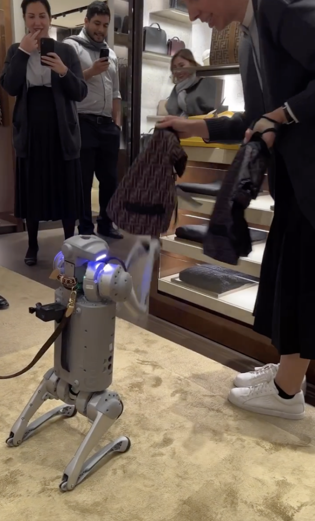 Robot dog