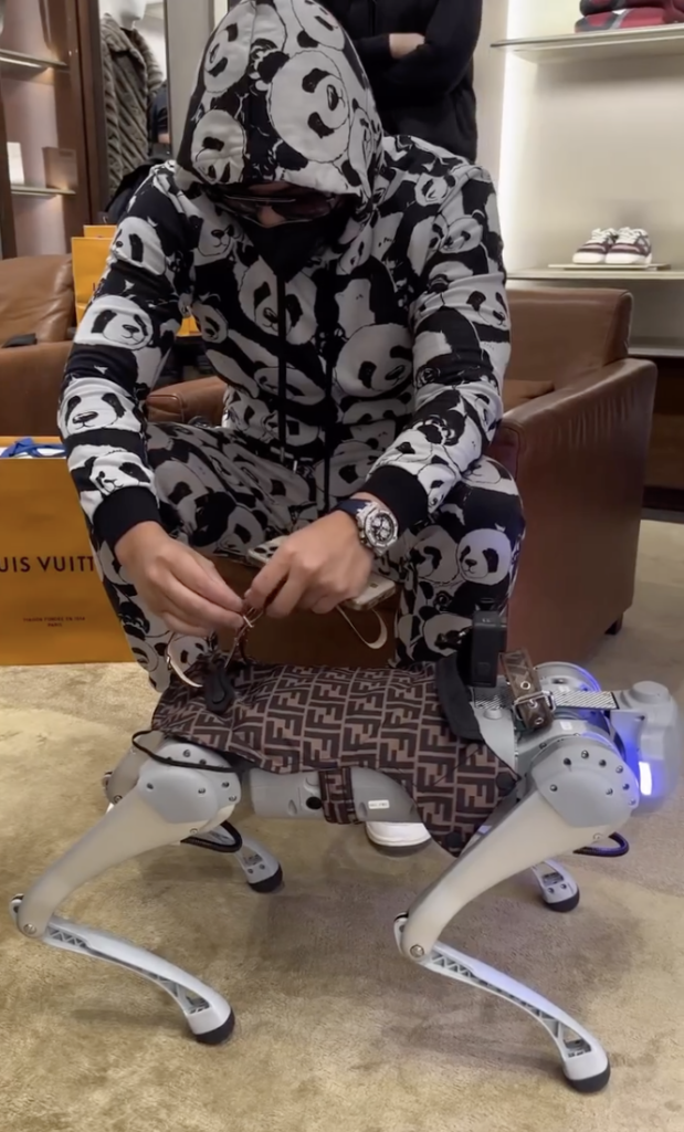 Robot dog