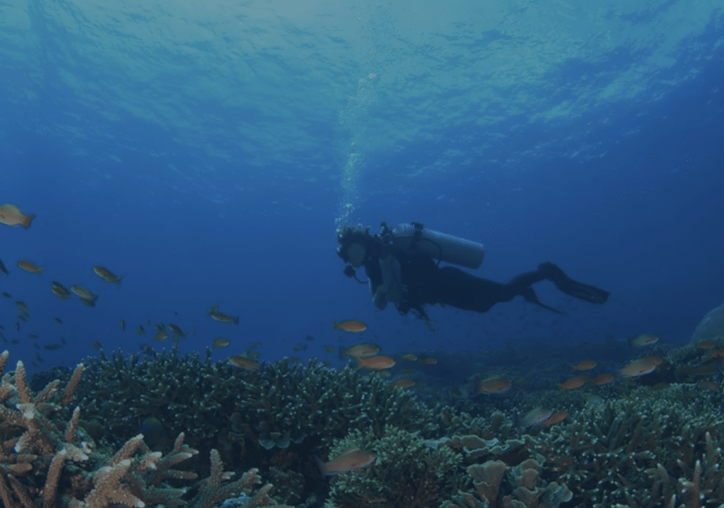Inside the 'underwater space station' designed to house aquanauts