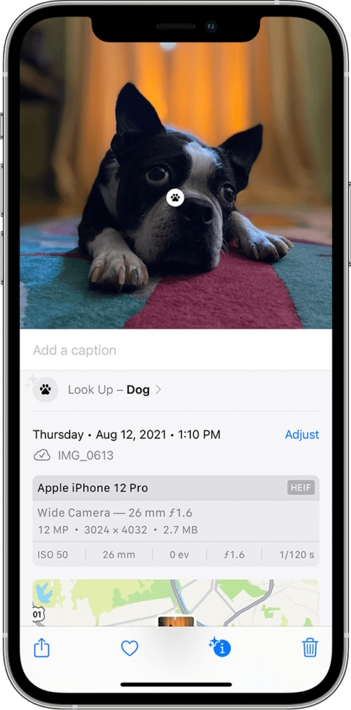 This iPhone feature is changing peoples lives