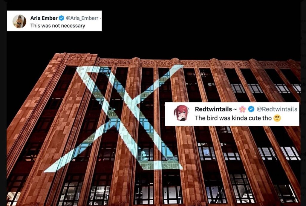 Twitter bird reactions