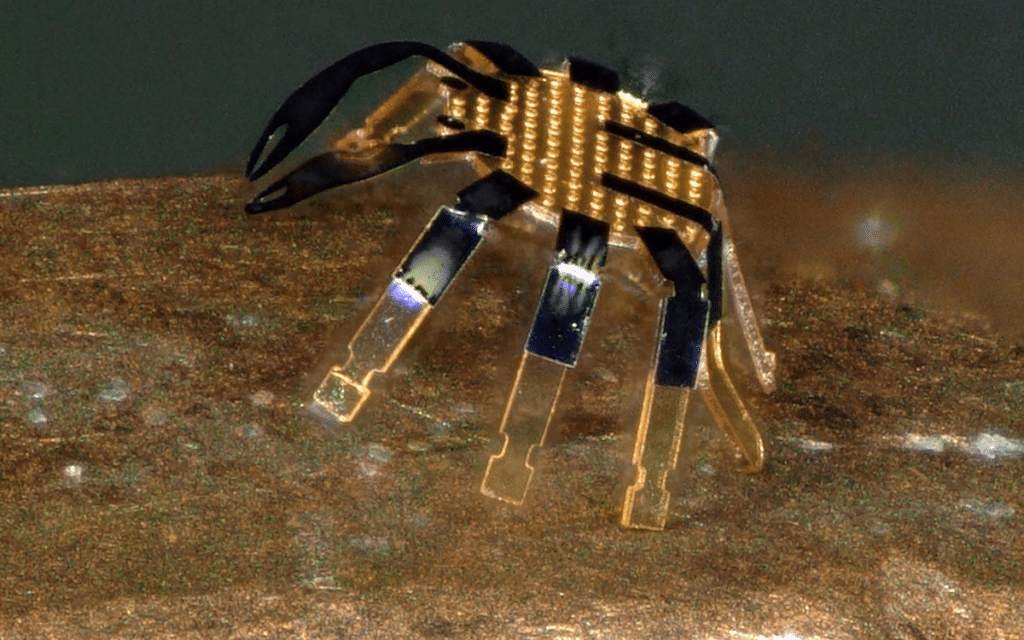 remote controlled robot