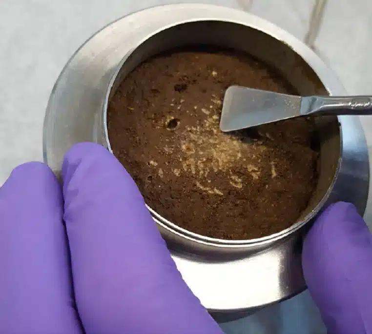 NASA could have just found signs of life on Mars