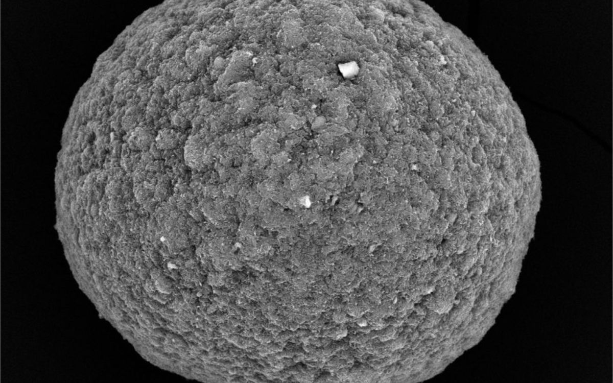 Scientists connect 16 mini human brains to create a ‘living computer’