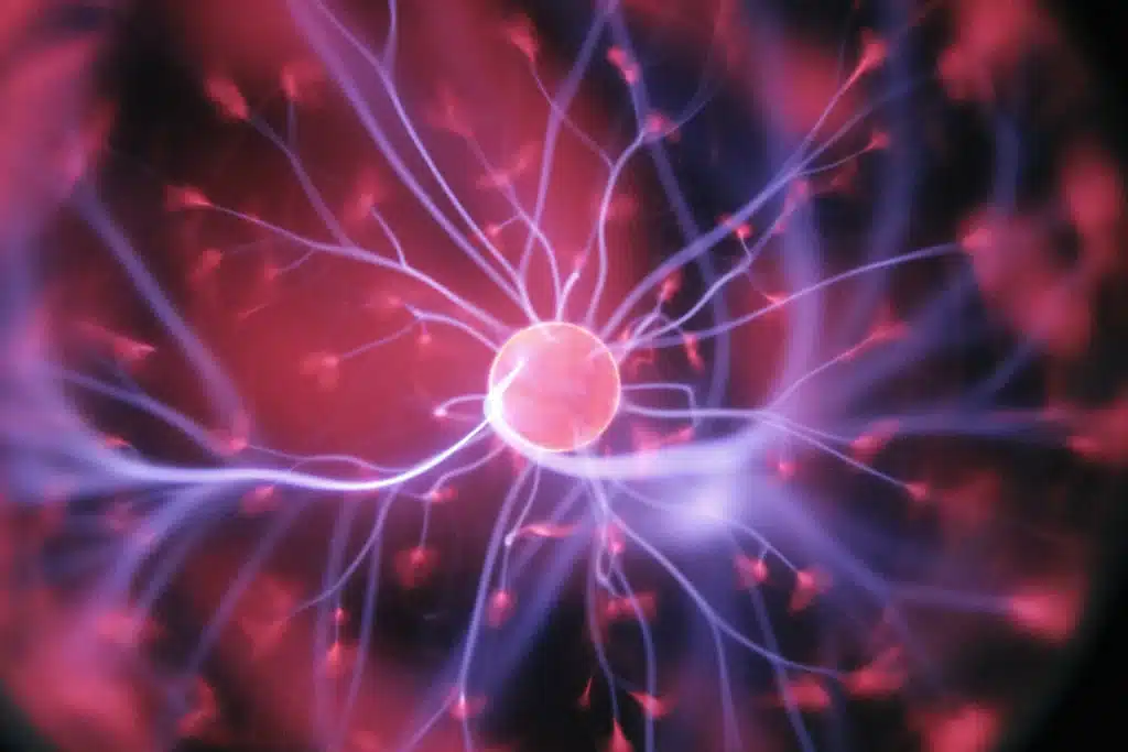 Supercomputer that simulates entire human brain will switch on in 2024
