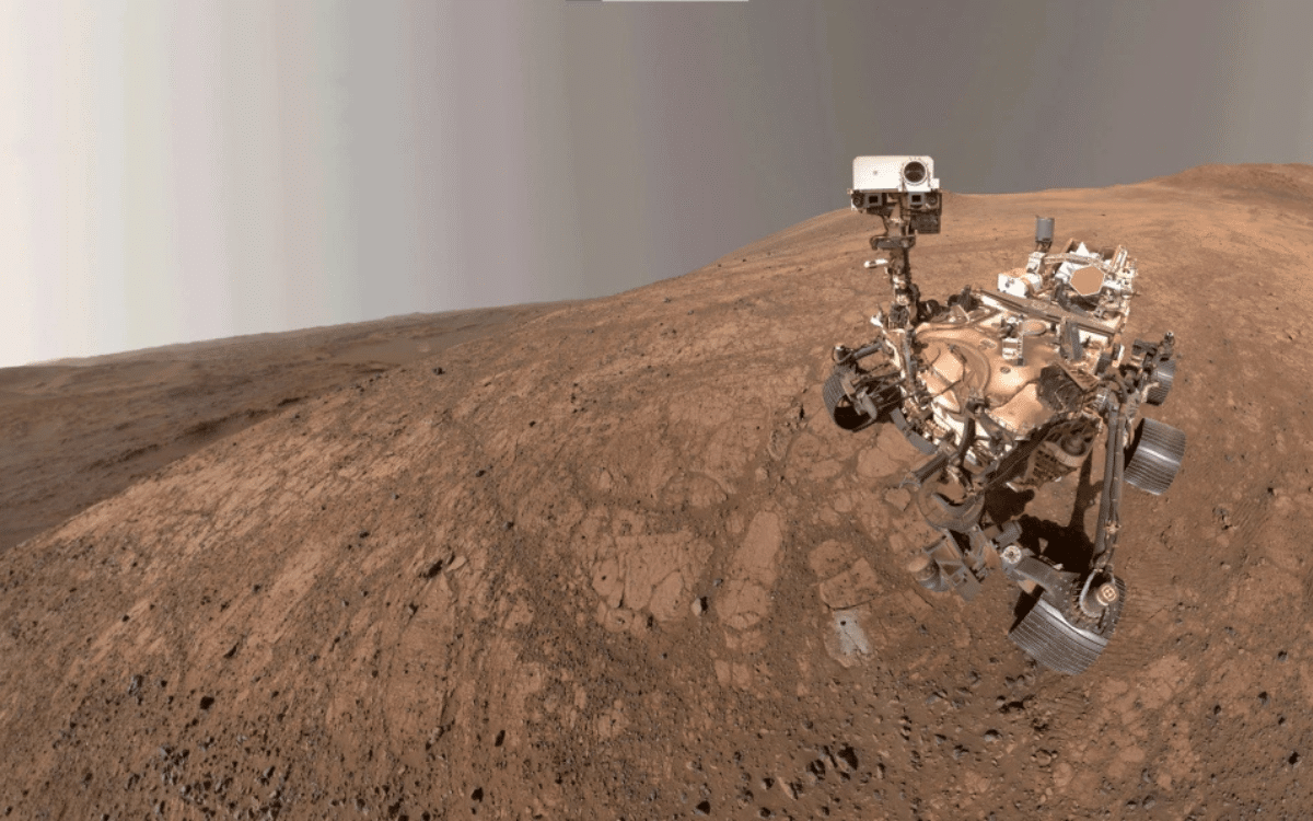 NASA's Perseverance Rover takes 'classic' selfie on Mars with unexpected guest