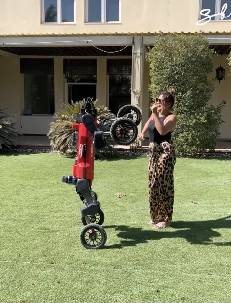 Swiss-Mile robot