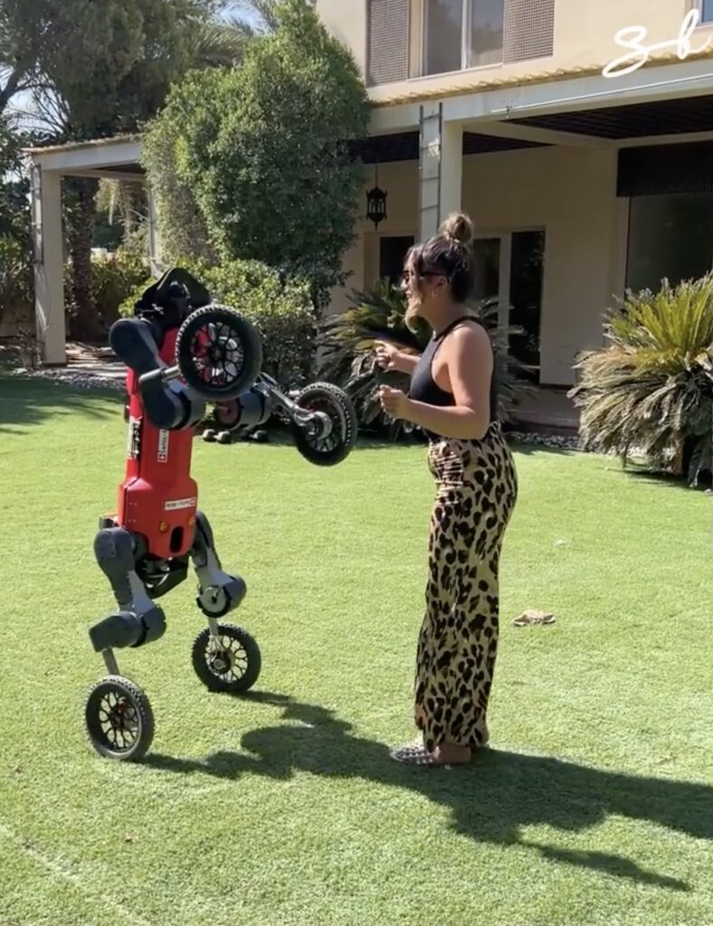 Swiss-Mile robot